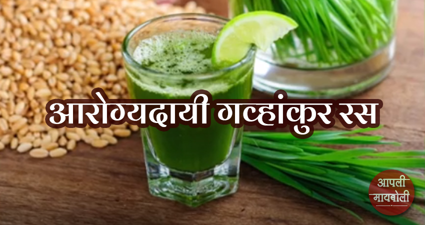 Importance of healthy wheat grass juice